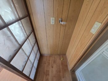 image_1484441405438980179_0