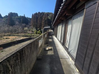 image_407142382711333641_0