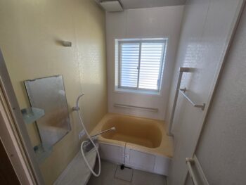 image_4572257501005183513_0