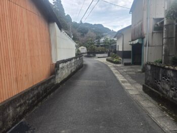 image_6603173136893781856