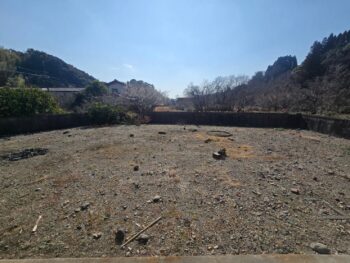 image_7827336793732935344_0