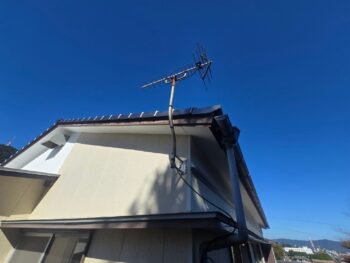 image_8130003910835754647_0