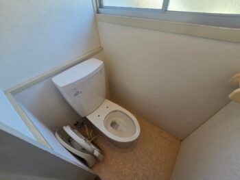 image_8330290678099392769_0