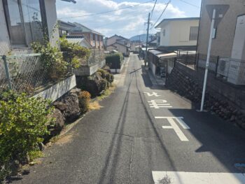 image_1674021733771824976_0