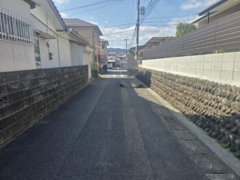 image_4459145584872073361_0