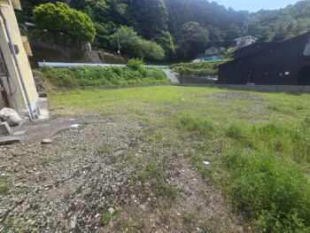 image_1782621056893302319_0