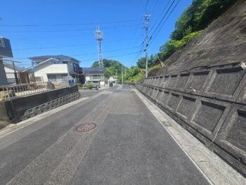 image_5033180961575165003_0